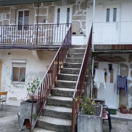 Original - Cedofeita