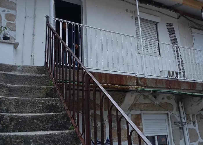 Original - Cedofeita *